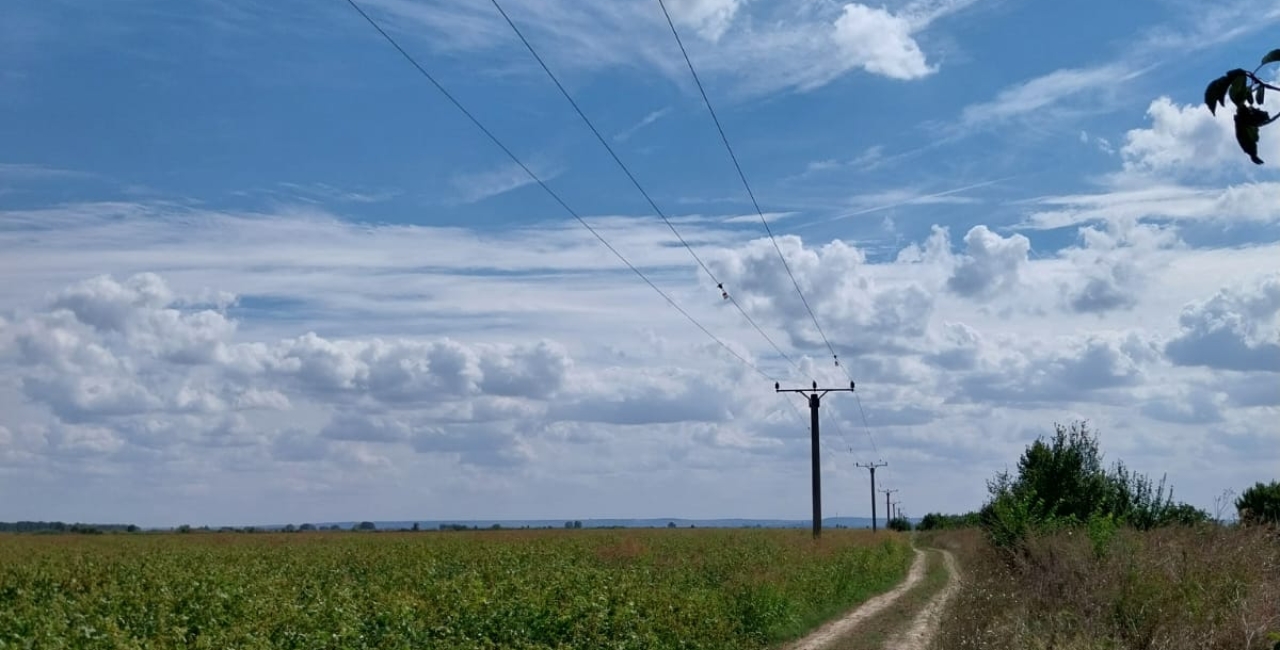 Rețele Electrice Dobrogea instalează sisteme pentru protecția păsărilor  in Călărași